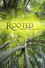 Rooted in the New World poster