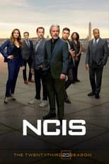 Season 23 poster