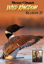 Season 25 poster