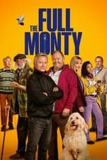 Miniseries poster