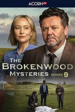 Season 9 poster