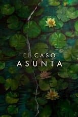 Limited Series poster