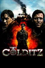 Miniseries poster