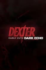 Dark Echo poster