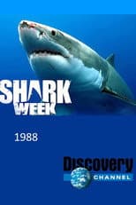 1988 poster