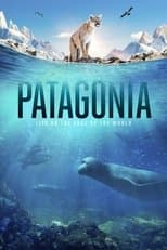 Miniseries poster
