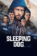 Limited Series poster