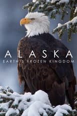 Miniseries poster