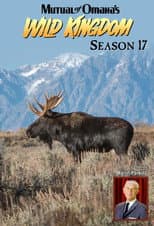 Season 17 poster
