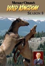 Season 8 poster