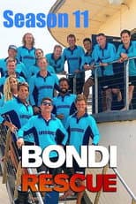 Season 11 poster