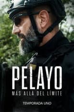 Miniseries poster
