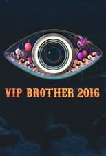 VIP Brother 2016 poster