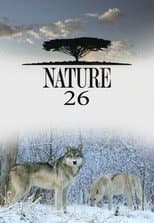Season 26 poster