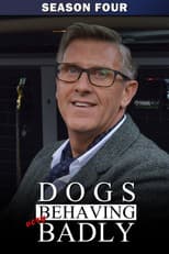 Series 4 poster