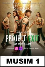 Miniseries poster