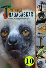 Madagaskar poster