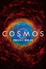 Possible Worlds poster
