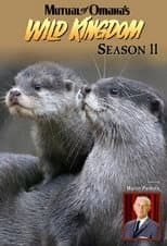 Season 11 poster