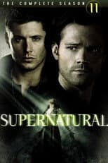 Season 11 poster