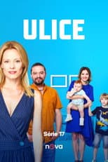 Season 17 poster