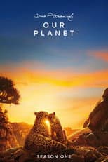 Our Planet poster