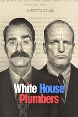 Miniseries poster
