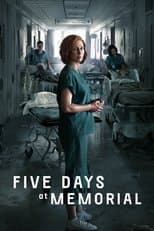 Limited Series poster