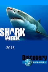 2015 poster