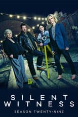 Series 29 poster