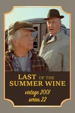Series 22 poster