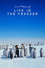 Miniseries poster