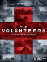 Miniseries poster