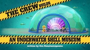 The Crew Builds An Underwater Shell Museum