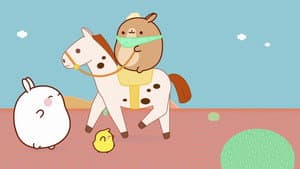 The Rodeo