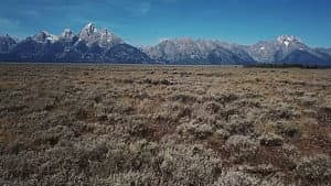 Grand Teton