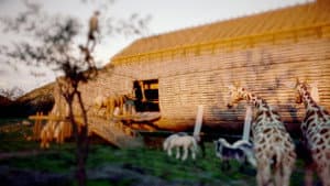 The Flood