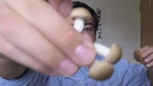 EATING POISONOUS MUSHROOMS