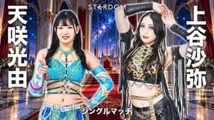 Stardom Silver Week Tour 2026 in Osaka