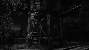 The Tower-Treasure