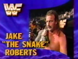 April 21, 1990 - Superstars of Wrestling 190