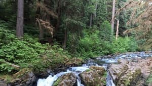 Olympic National Park