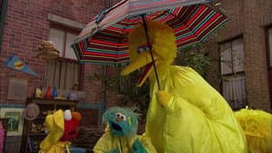 Jumpin' in the Rain