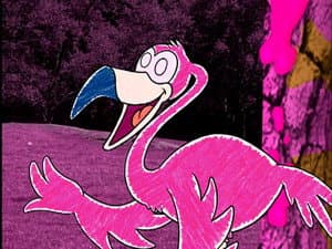 Pinky and the Pink Phenomenon
