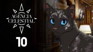 Gatos