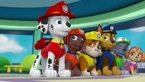 Pups Stop a Pie-Clone