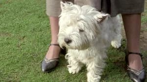 Tuppy and the Terrier