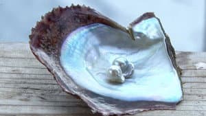 Ise-Shima: Timeless World of Pearls