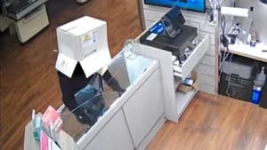 Box Headed Burglar