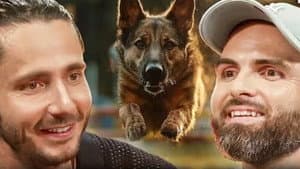 All the Incredible Secrets of Dogs: Do They Smell Cancer and See Ghosts? Esprit Dog